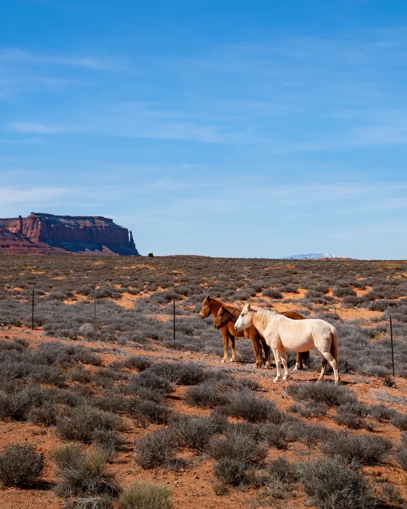 Monument Valley view 4